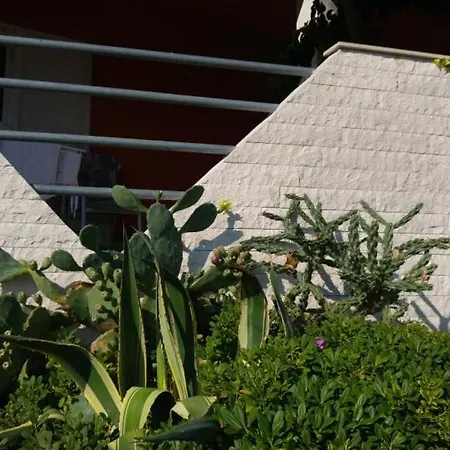 In With Seaview, Terrace, Air Condition, Wifi Kali