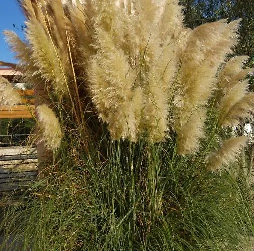 In With Seaview, Terrace, Air Condition, Wifi